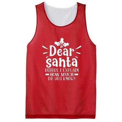 Dear Santa Before I Explain Mesh Reversible Basketball Jersey Tank