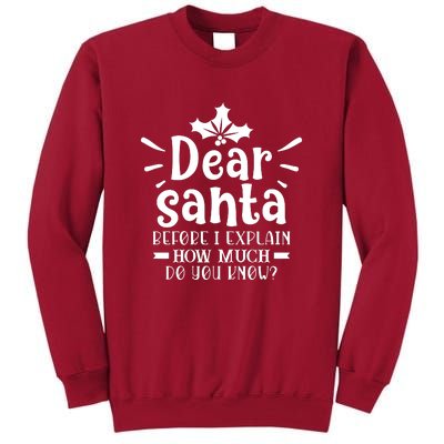 Dear Santa Before I Explain Tall Sweatshirt