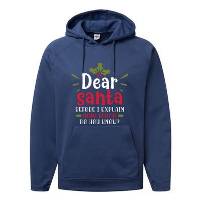 Dear Santa Before I Explain Performance Fleece Hoodie