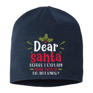 Dear Santa Before I Explain Sustainable Beanie