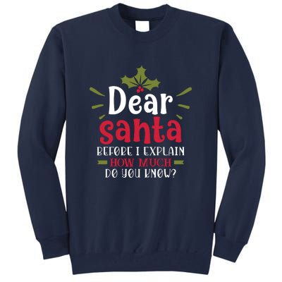 Dear Santa Before I Explain Tall Sweatshirt