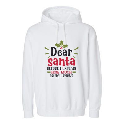 Dear Santa Before I Explain Garment-Dyed Fleece Hoodie