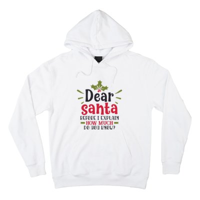 Dear Santa Before I Explain Hoodie