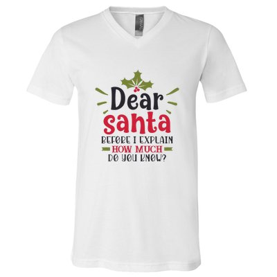 Dear Santa Before I Explain V-Neck T-Shirt