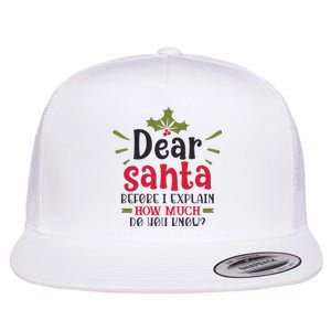 Dear Santa Before I Explain Flat Bill Trucker Hat