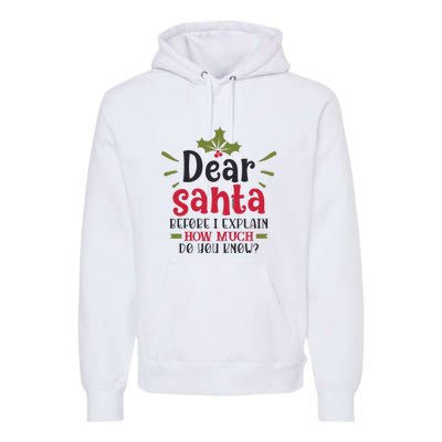 Dear Santa Before I Explain Premium Hoodie