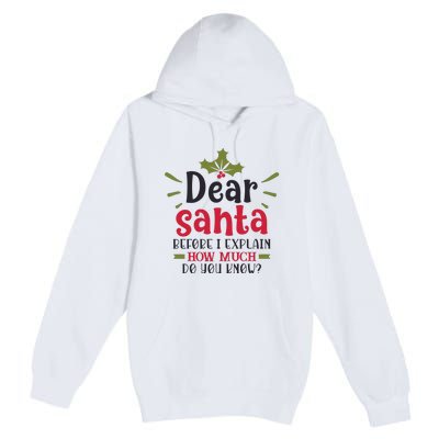 Dear Santa Before I Explain Premium Pullover Hoodie