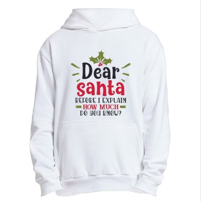 Dear Santa Before I Explain Urban Pullover Hoodie