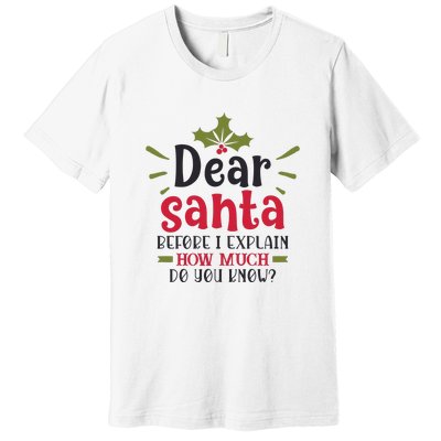 Dear Santa Before I Explain Premium T-Shirt