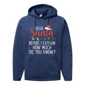 Dear Santa Before I Explain How Much Do You Know Christmas Performance Fleece Hoodie