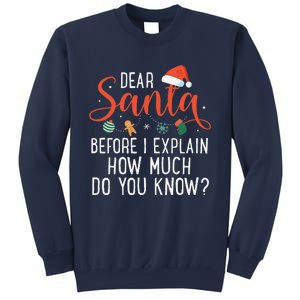 Dear Santa Before I Explain How Much Do You Know Christmas Sweatshirt