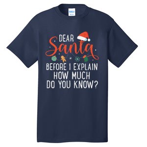 Dear Santa Before I Explain How Much Do You Know Christmas Tall T-Shirt