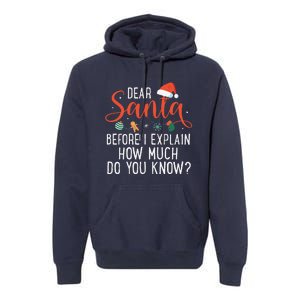 Dear Santa Before I Explain How Much Do You Know Christmas Premium Hoodie