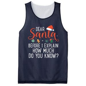 Dear Santa Before I Explain How Much Do You Know Christmas Mesh Reversible Basketball Jersey Tank