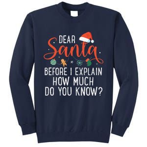 Dear Santa Before I Explain How Much Do You Know Christmas Tall Sweatshirt