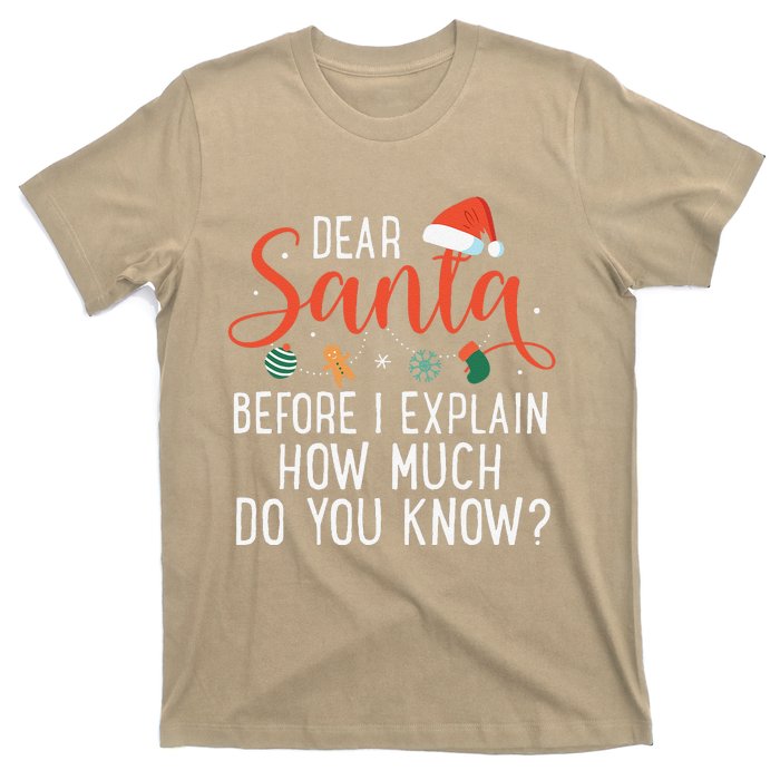 Dear Santa Before I Explain How Much Do You Know Christmas T-Shirt