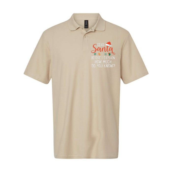 Dear Santa Before I Explain How Much Do You Know Christmas Softstyle Adult Sport Polo