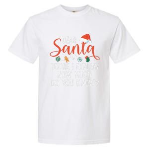 Dear Santa Before I Explain How Much Do You Know Christmas Garment-Dyed Heavyweight T-Shirt