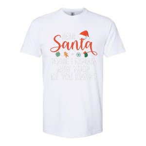 Dear Santa Before I Explain How Much Do You Know Christmas Softstyle CVC T-Shirt