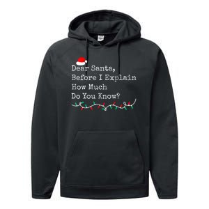 Dear Santa Before I Explain How Much Do You Know Christmas Performance Fleece Hoodie