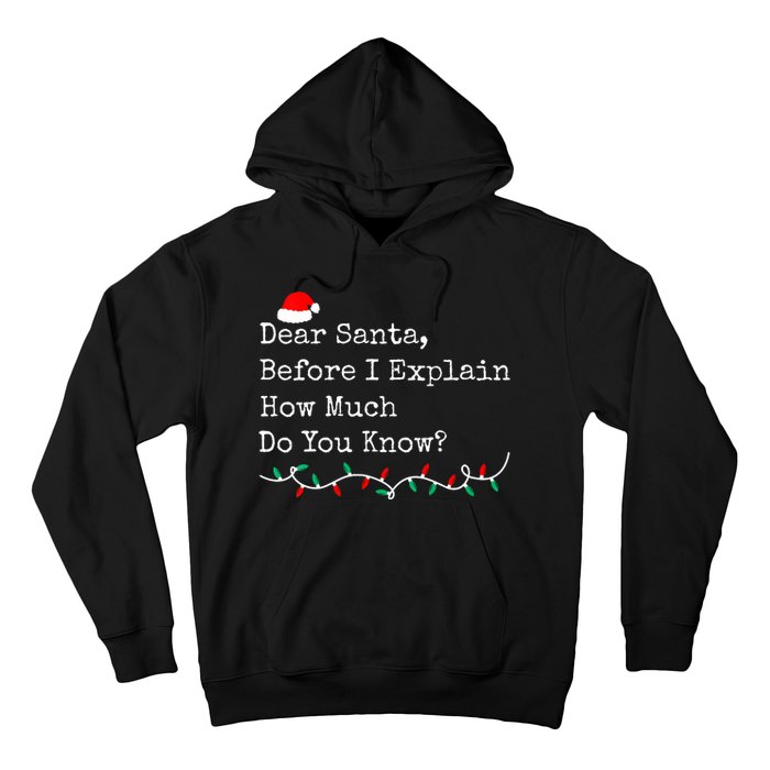 Dear Santa Before I Explain How Much Do You Know Christmas Hoodie