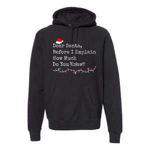 Dear Santa Before I Explain How Much Do You Know Christmas Premium Hoodie