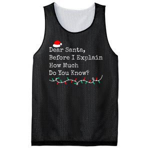 Dear Santa Before I Explain How Much Do You Know Christmas Mesh Reversible Basketball Jersey Tank