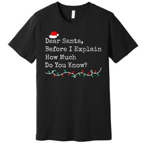 Dear Santa Before I Explain How Much Do You Know Christmas Premium T-Shirt