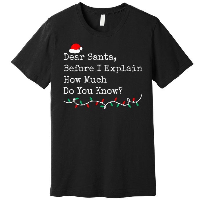 Dear Santa Before I Explain How Much Do You Know Christmas Premium T-Shirt