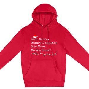 Dear Santa Before I Explain How Much Do You Know Christmas Premium Pullover Hoodie