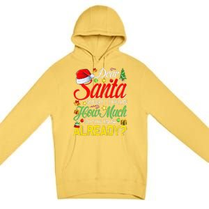 Dear Santa Before I Explain How Much Do You Know Already Premium Pullover Hoodie