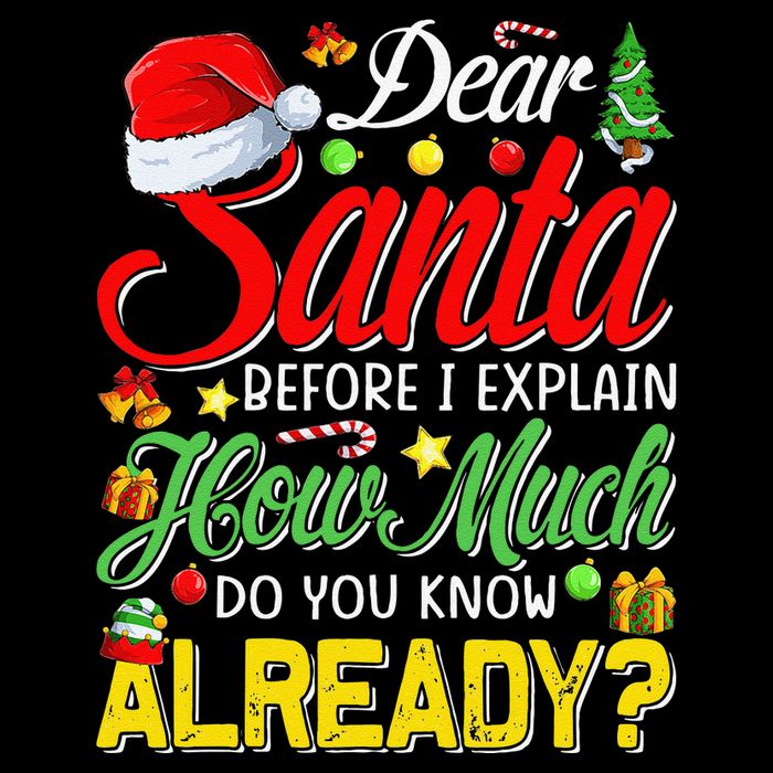 Dear Santa Before I Explain How Much Do You Know Already Bucket Hat