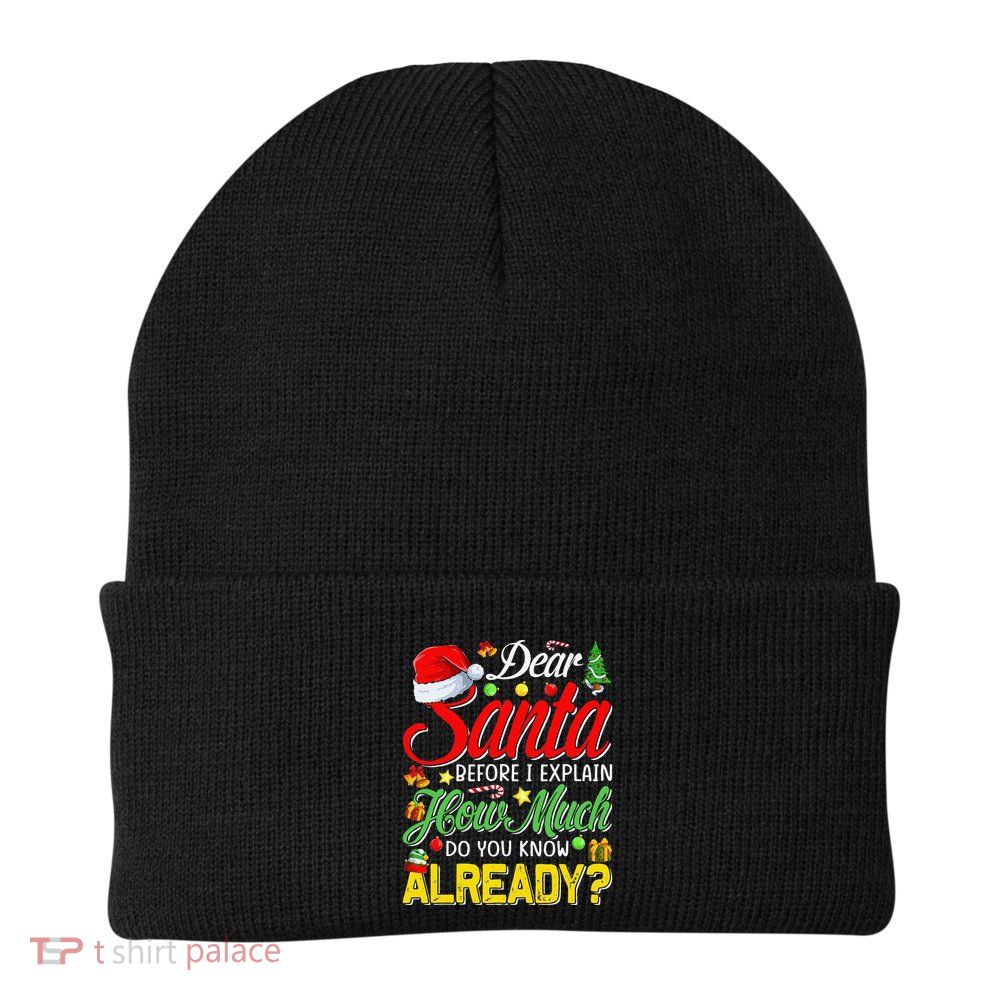 Dear Santa Before I Explain How Much Do You Know Already Beanie