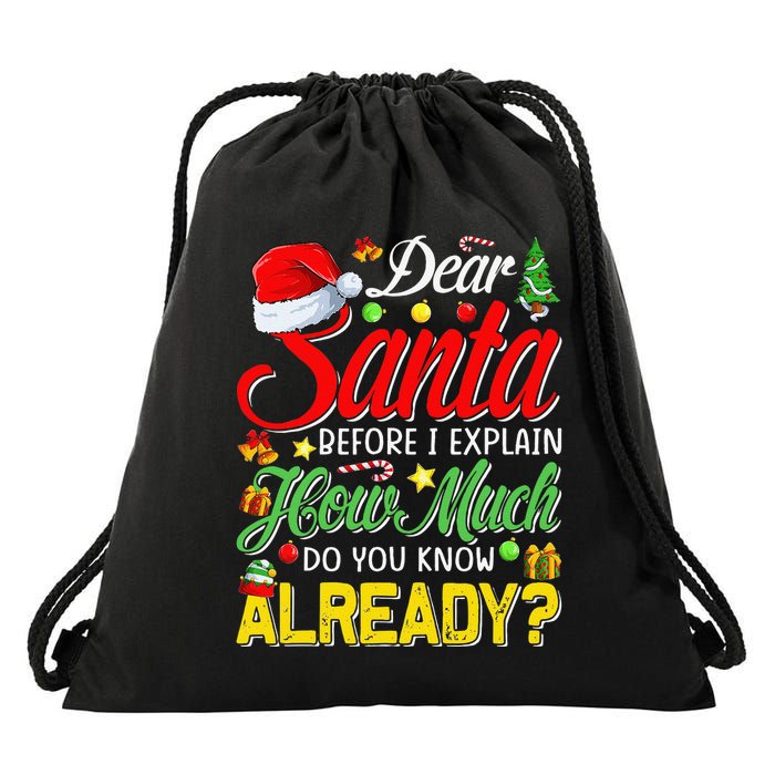 Dear Santa Before I Explain How Much Do You Know Already Drawstring Bag