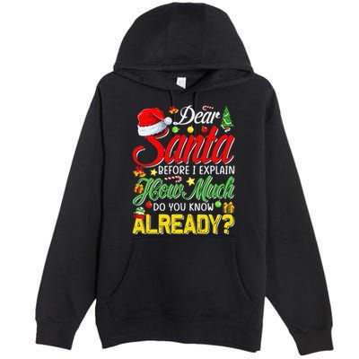 Dear Santa Before I Explain How Much Do You Know Already Premium Pullover Hoodie