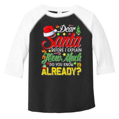 Dear Santa Before I Explain How Much Do You Know Already Toddler Fine Jersey T-Shirt