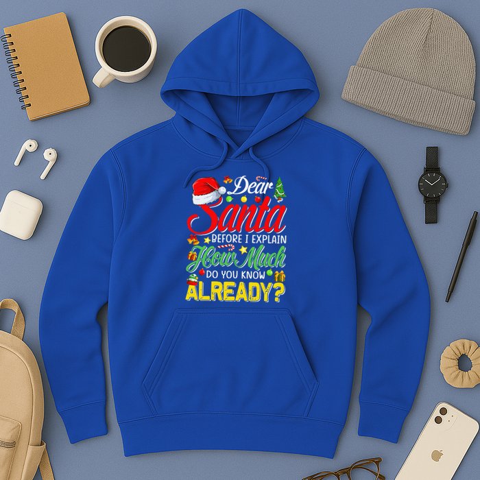 Dear Santa Before I Explain How Much Do You Know Already Hoodie