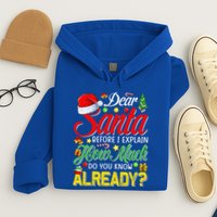 Dear Santa Before I Explain How Much Do You Know Already Hoodie