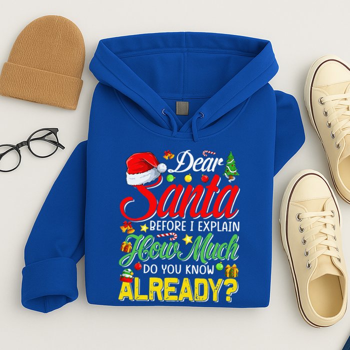 Dear Santa Before I Explain How Much Do You Know Already Hoodie