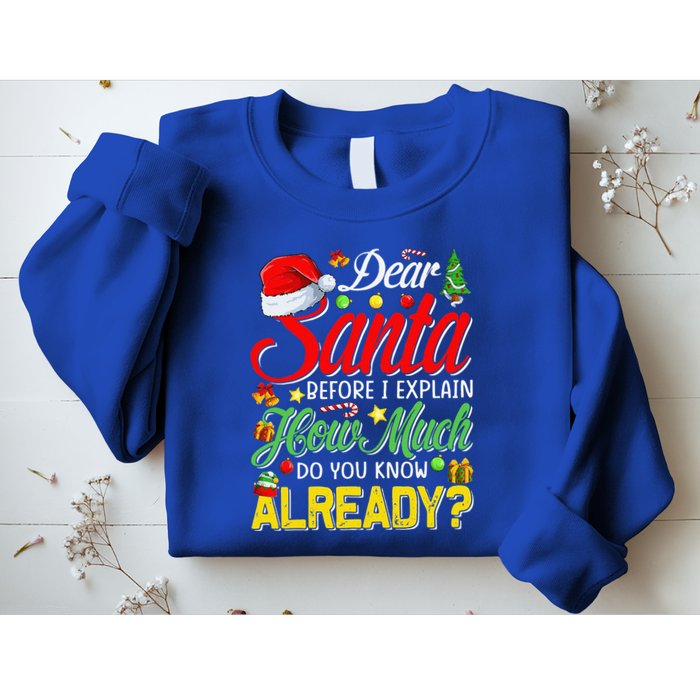 Dear Santa Before I Explain How Much Do You Know Already Sweatshirt