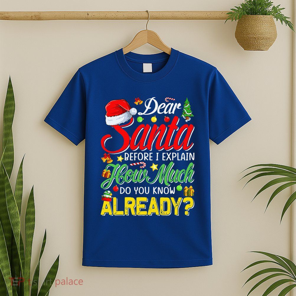 Dear Santa Before I Explain How Much Do You Know Already T-Shirt