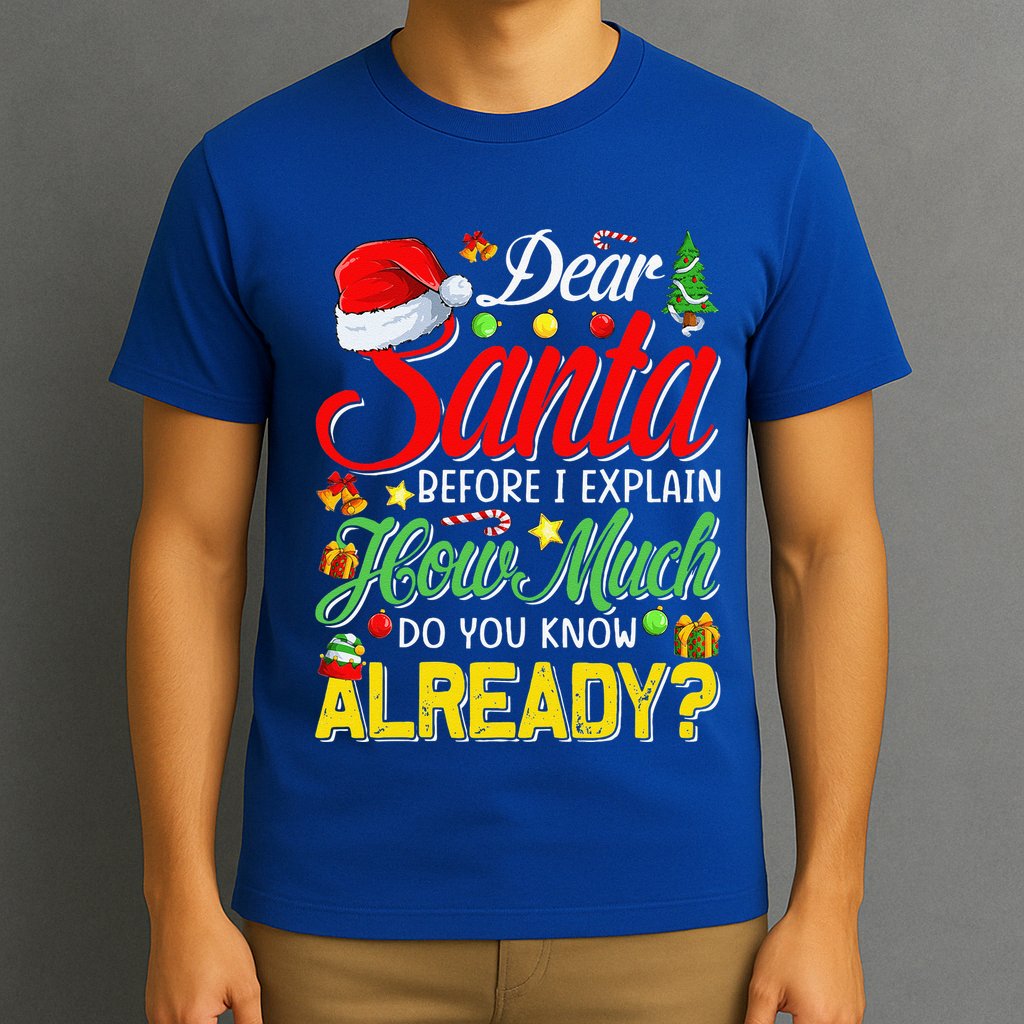 Dear Santa Before I Explain How Much Do You Know Already T-Shirt