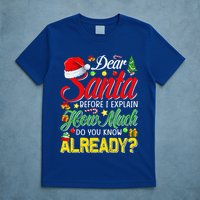 Dear Santa Before I Explain How Much Do You Know Already T-Shirt