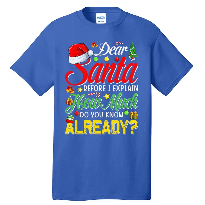 Dear Santa Before I Explain How Much Do You Know Already Tall T-Shirt