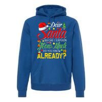 Dear Santa Before I Explain How Much Do You Know Already Premium Hoodie