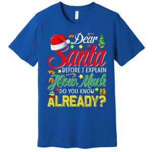 Dear Santa Before I Explain How Much Do You Know Already Premium T-Shirt