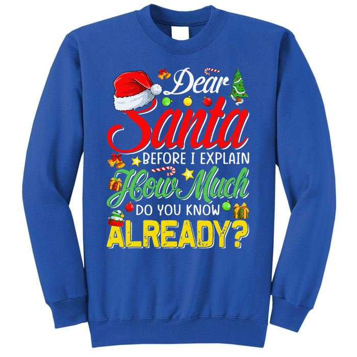 Dear Santa Before I Explain How Much Do You Know Already Tall Sweatshirt