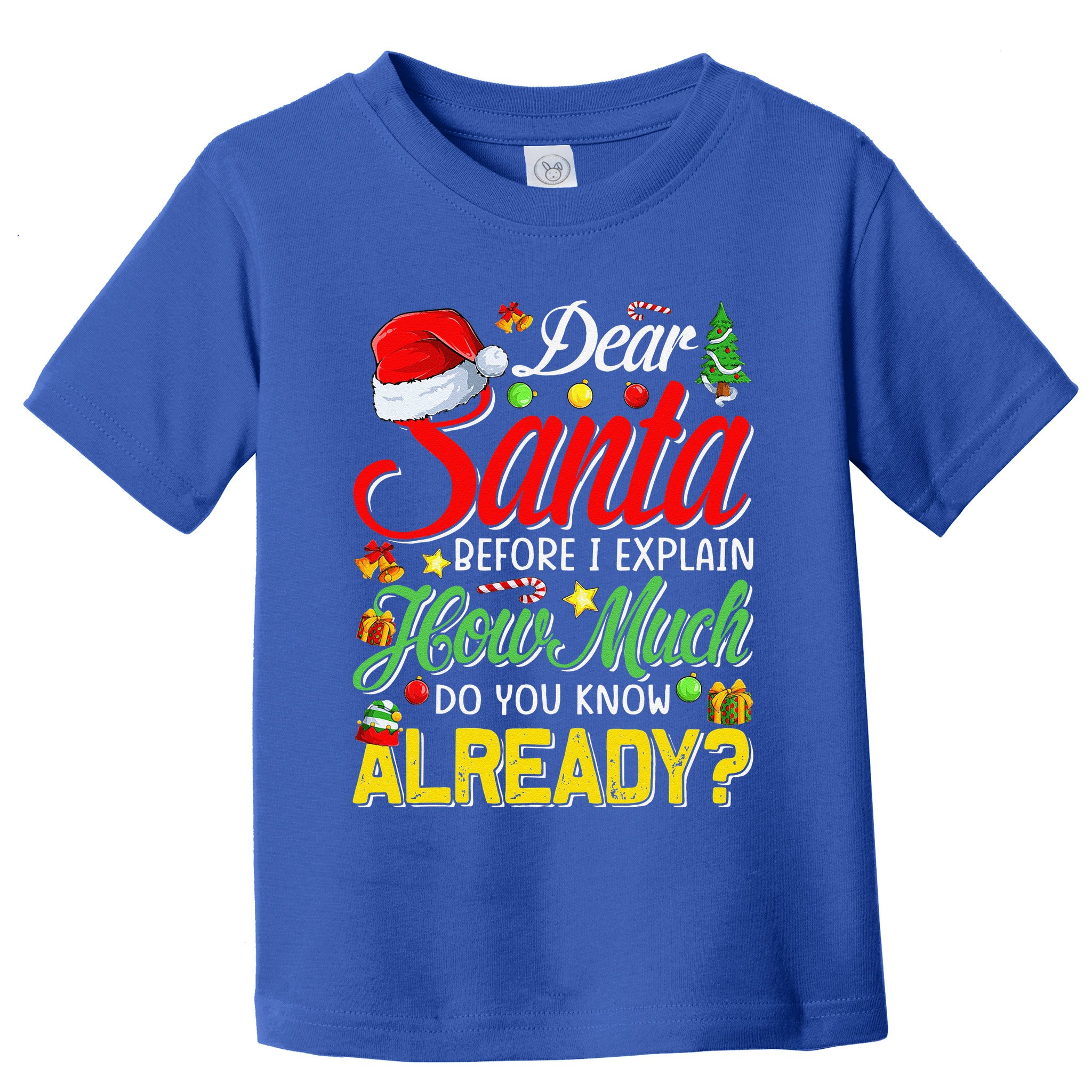 Dear Santa Before I Explain How Much Do You Know Already Toddler T-Shirt