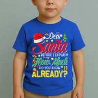 Dear Santa Before I Explain How Much Do You Know Already Toddler T-Shirt
