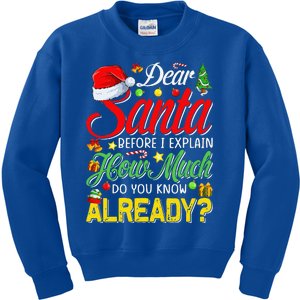 Dear Santa Before I Explain How Much Do You Know Already Kids Sweatshirt